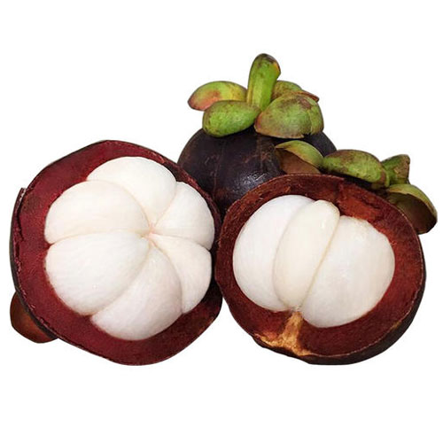 山竹配送-粵崗蔬菜配送